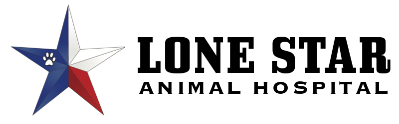 lone star logo