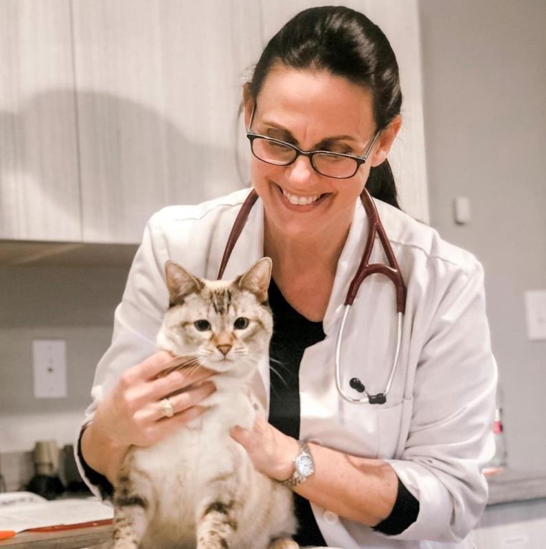 Cat Care