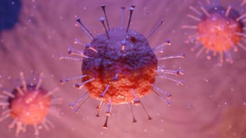 Coronavirus