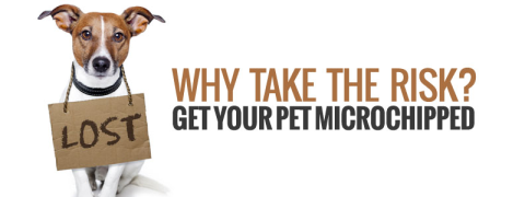 Microchip